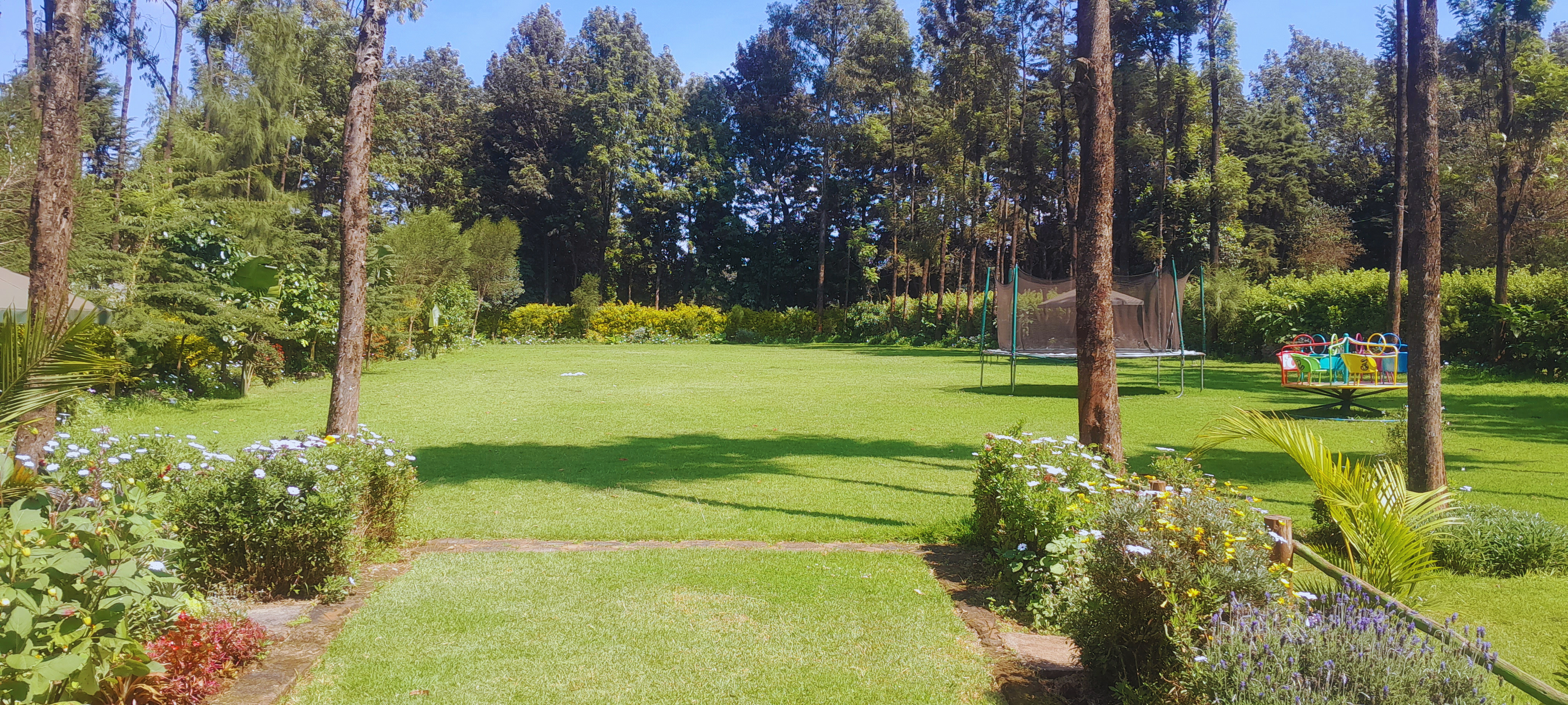 Garden View 4