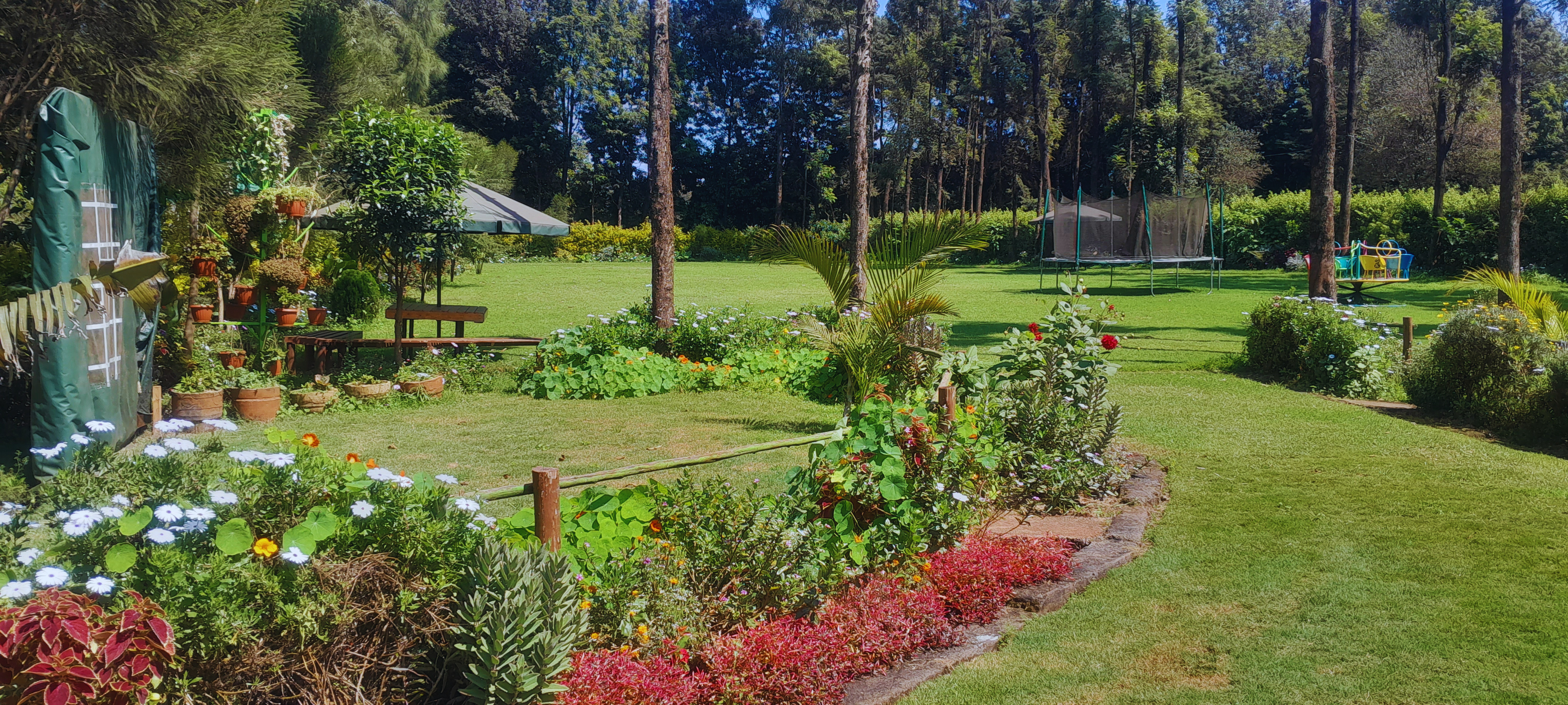 Garden View 5