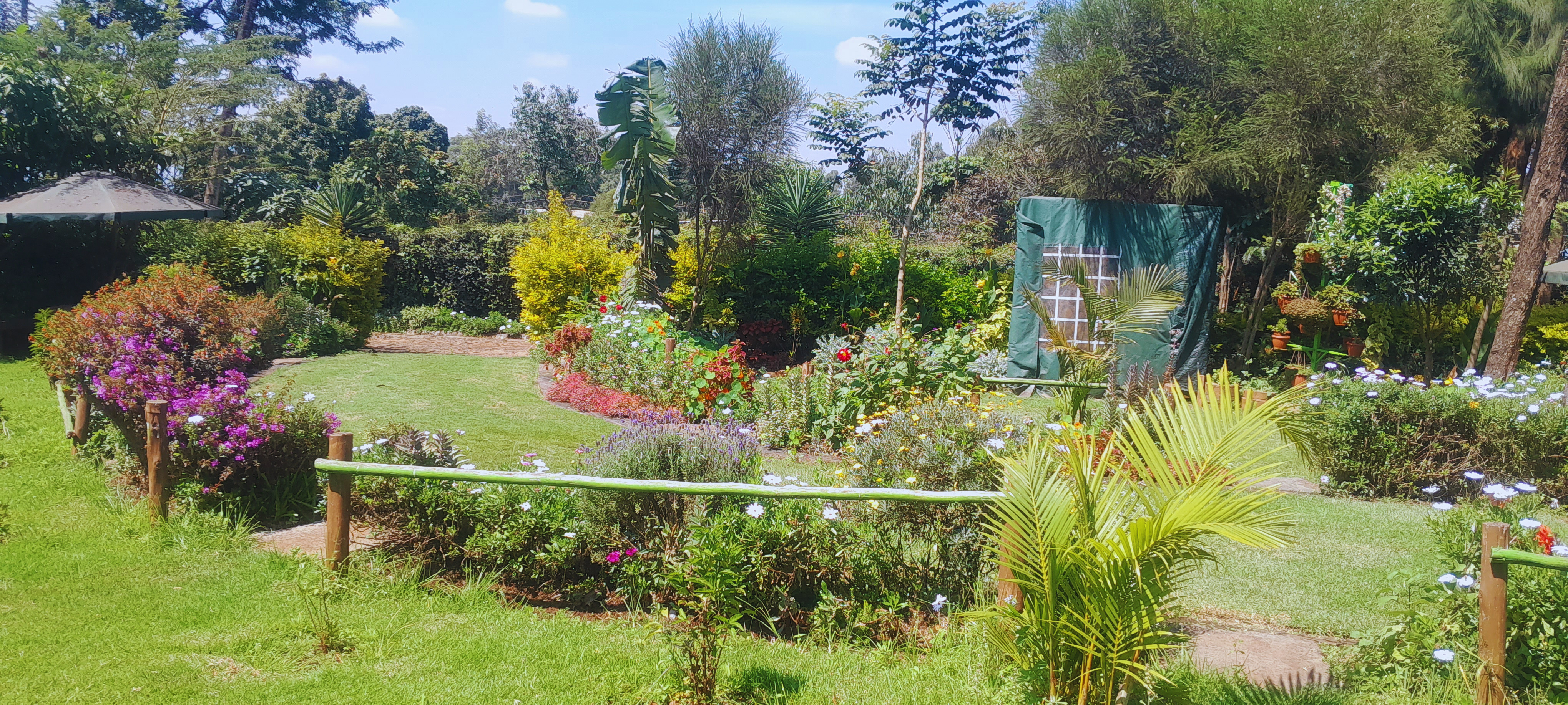 Garden View 7