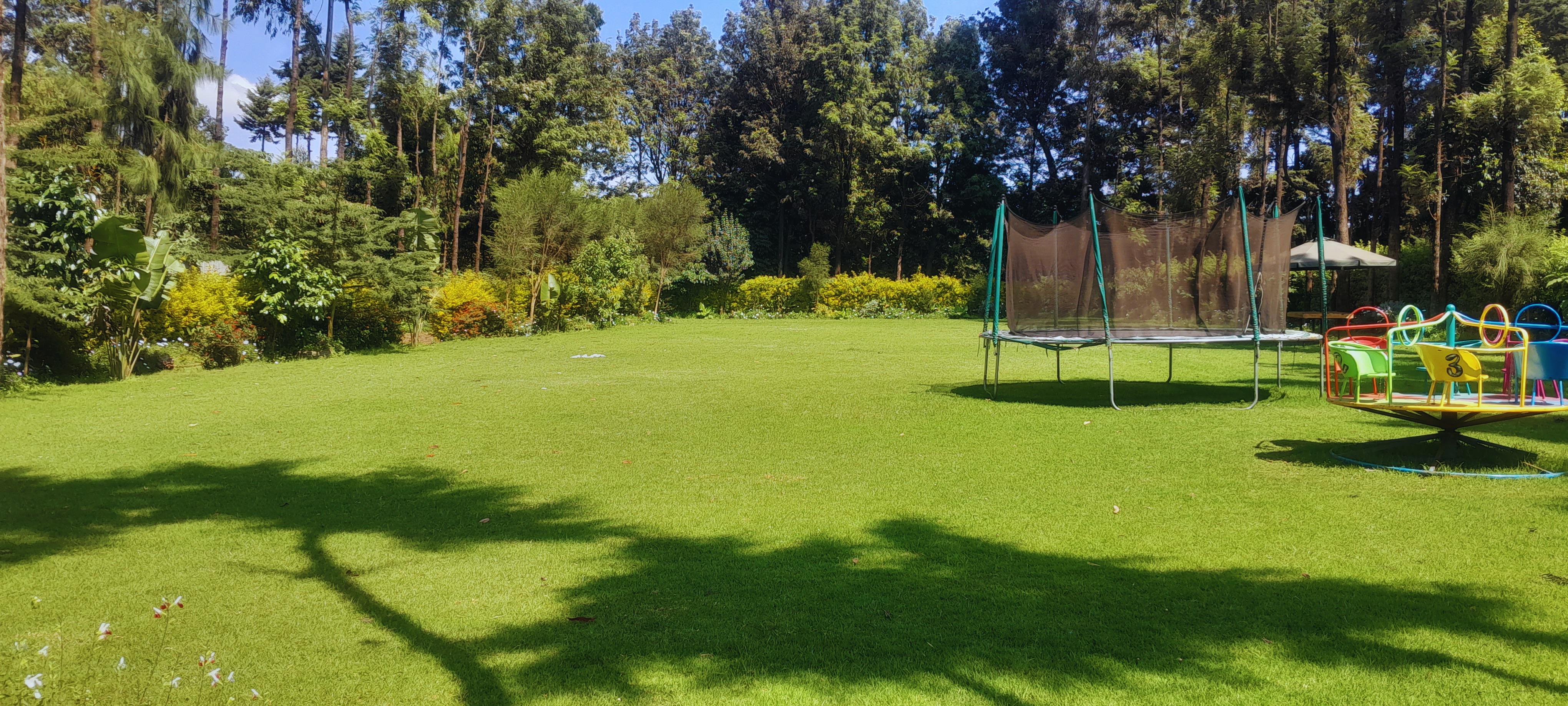 Garden View 8