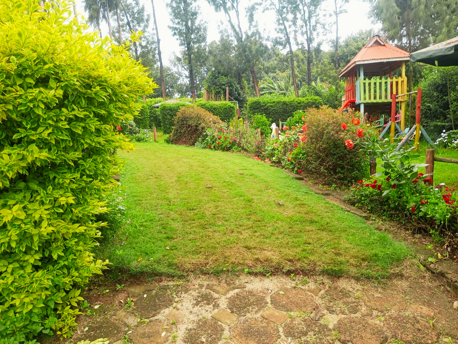 Garden View 3