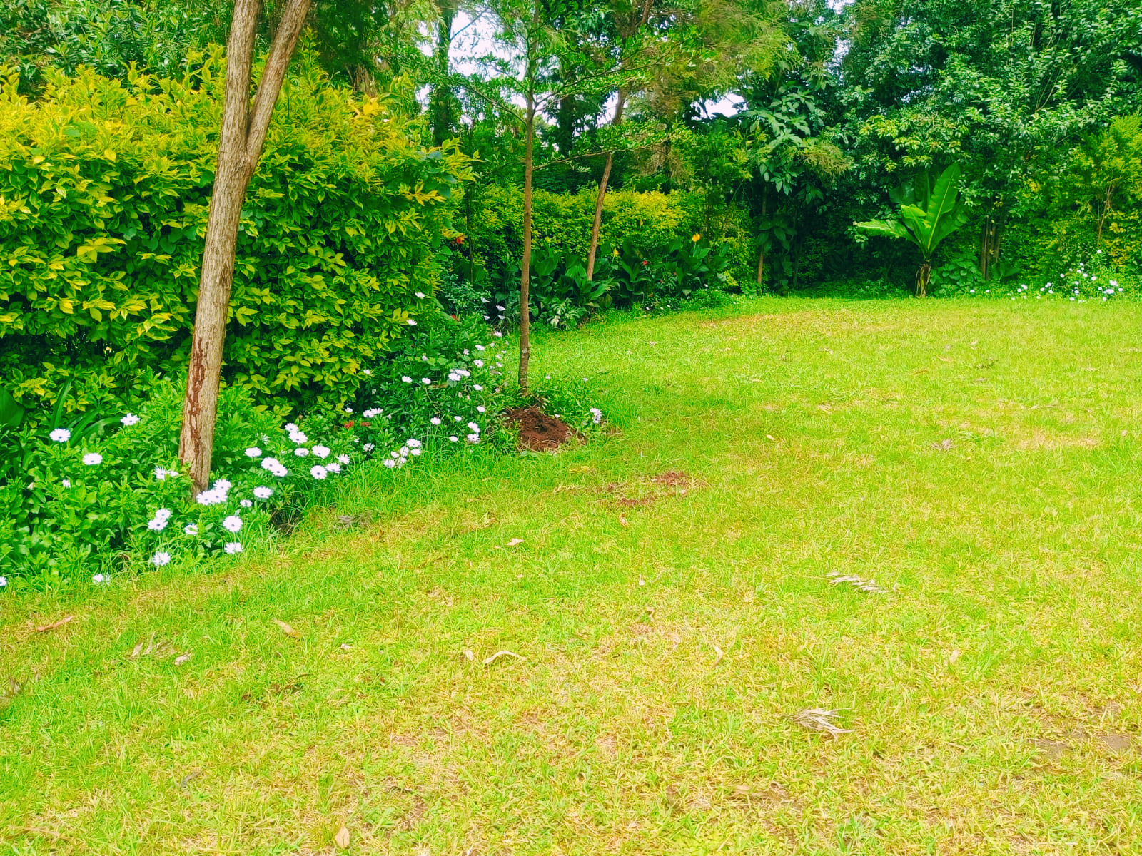 Picnic Area at Nature Breeze Garden