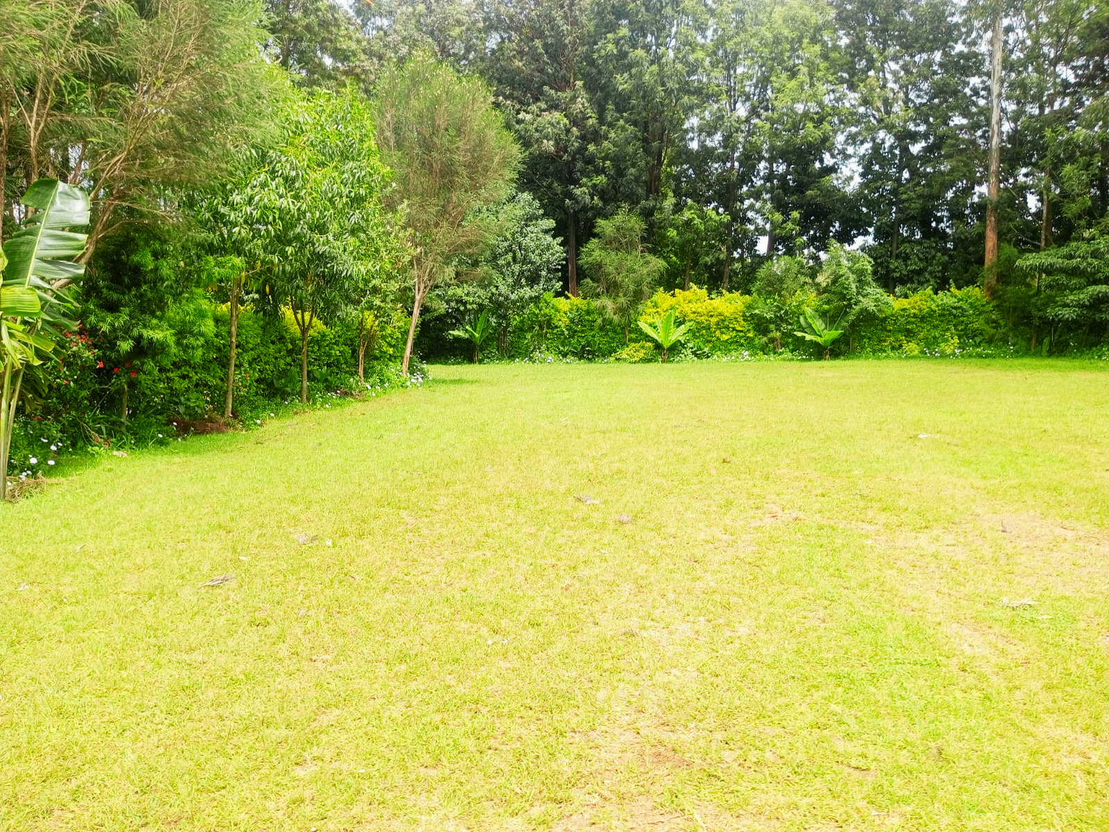 Garden View 1